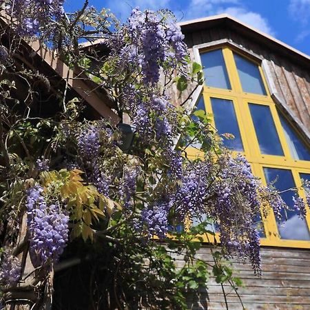 Appartamento La grange à Jeanette Burnhaupt-le-Haut Esterno foto