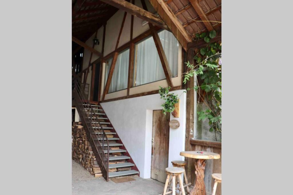 Appartamento La grange à Jeanette Burnhaupt-le-Haut Esterno foto