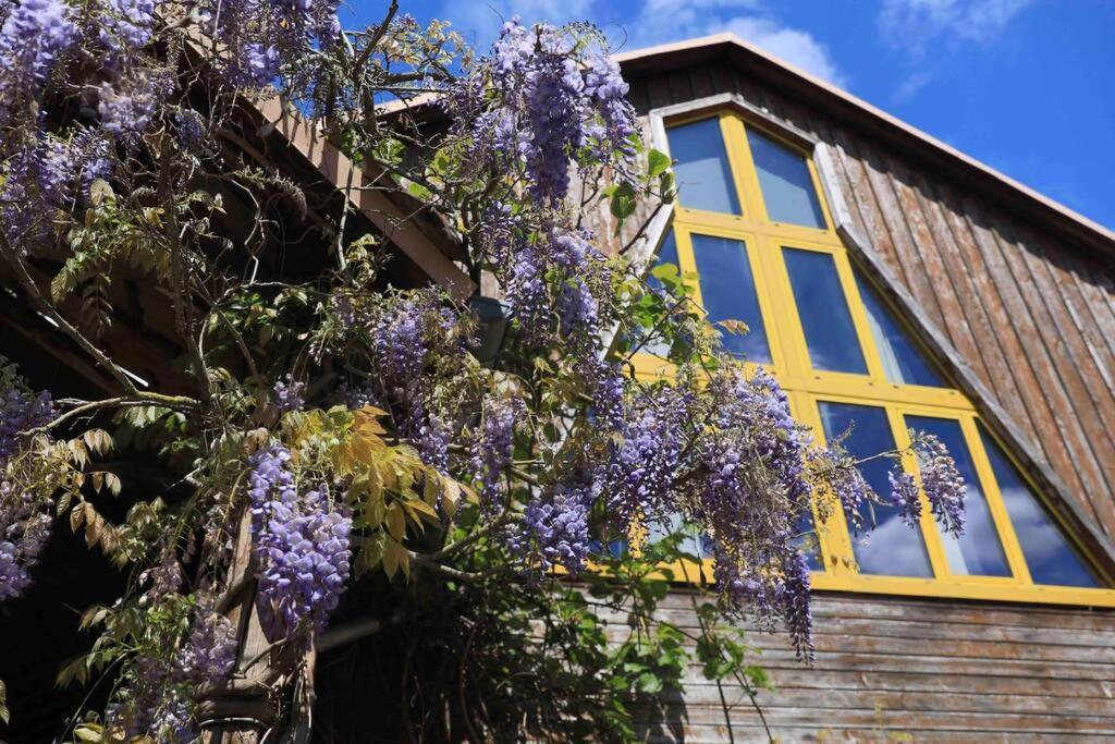 Appartamento La grange à Jeanette Burnhaupt-le-Haut Esterno foto